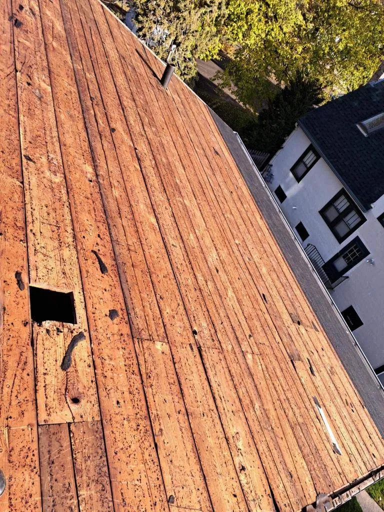 Roofing Services