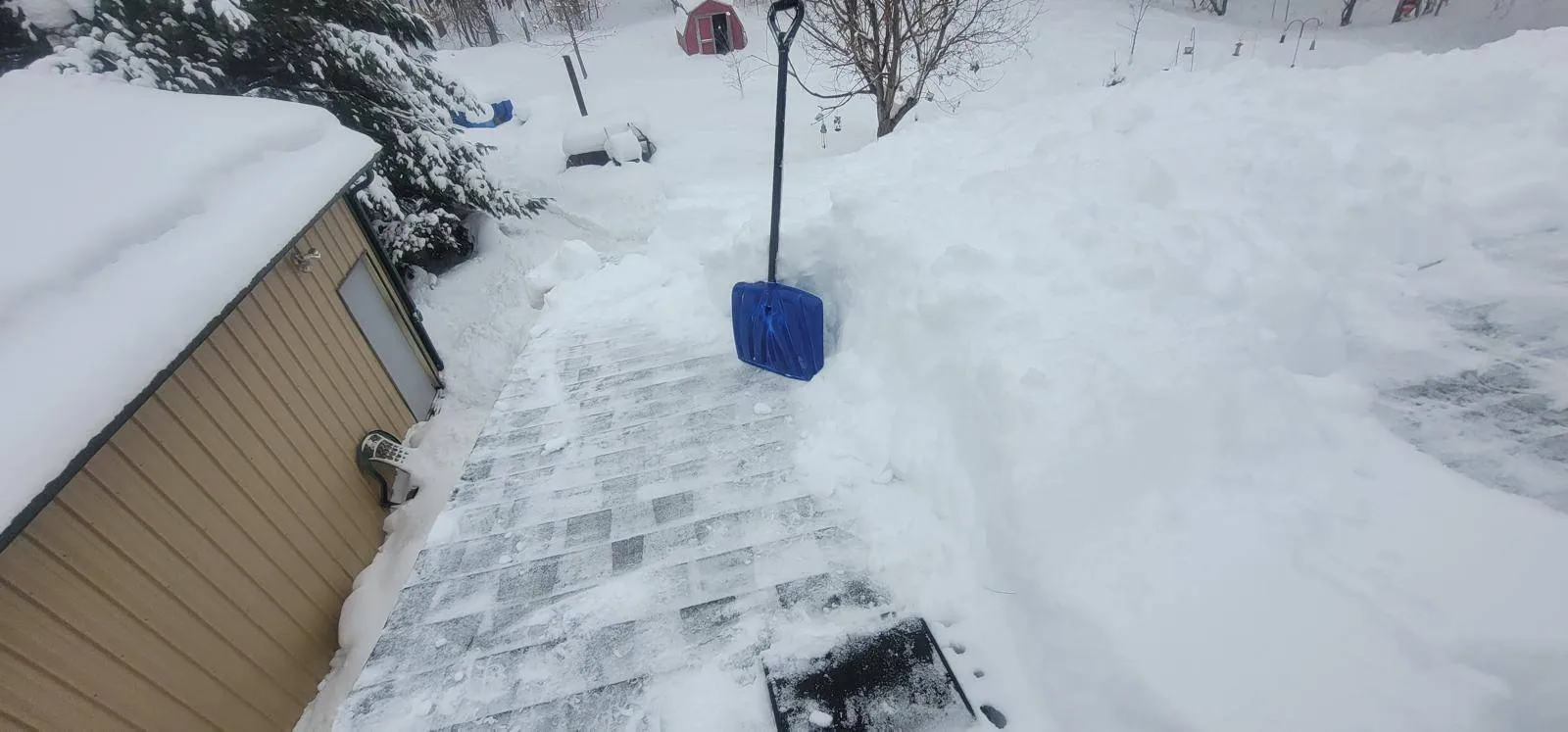 Roof Snow Removal