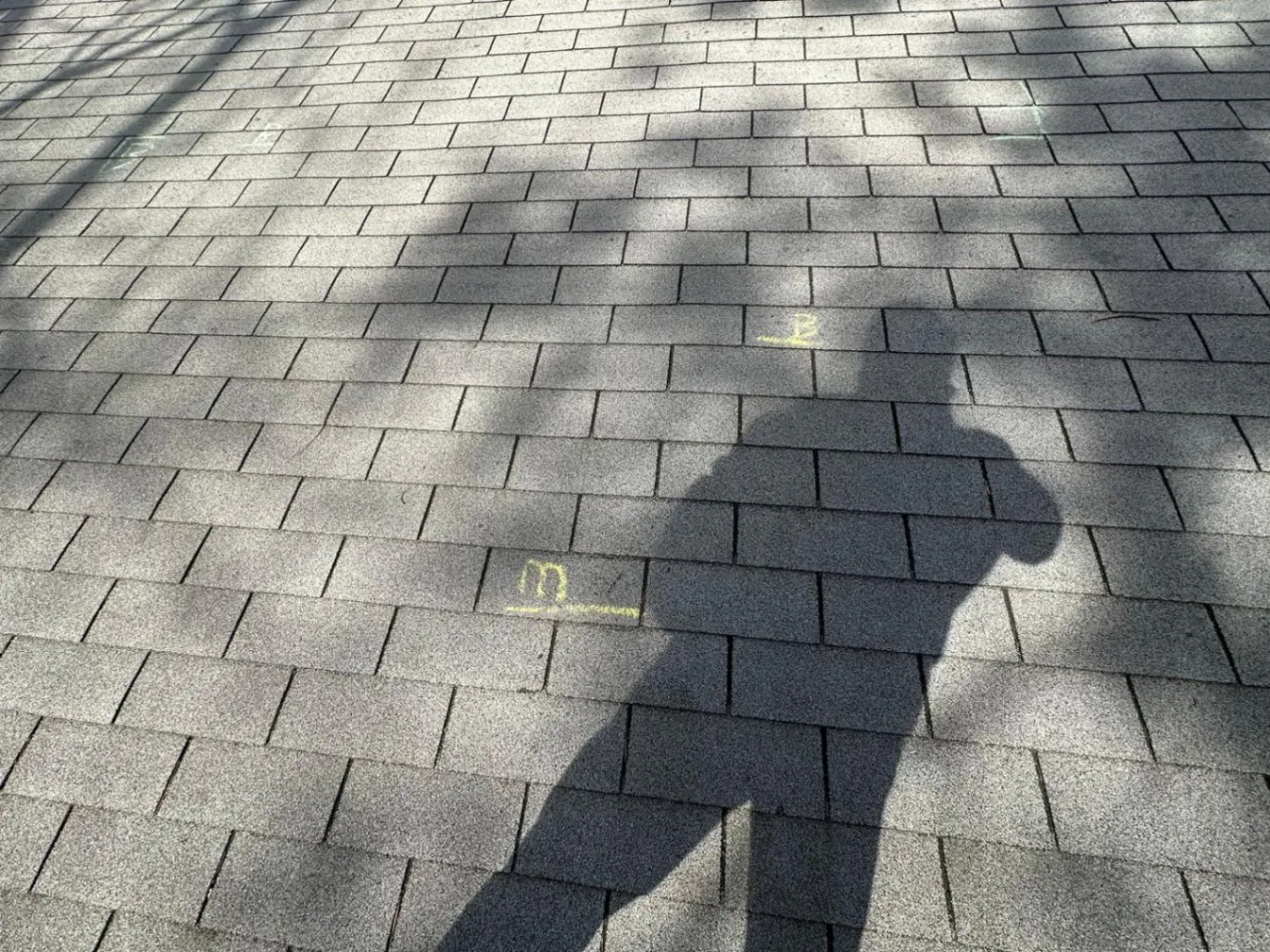 Roofing Services